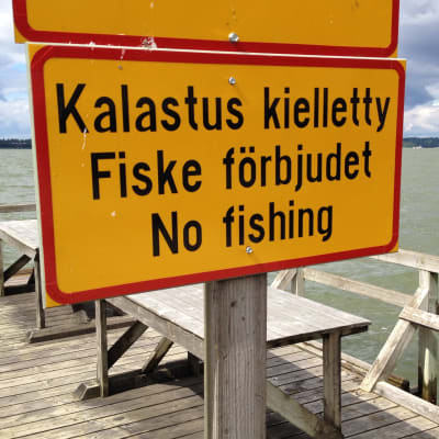 Skylt med texten "Fiske förbjudet"