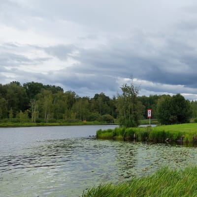 Järven ranta ja tummat pilvet.