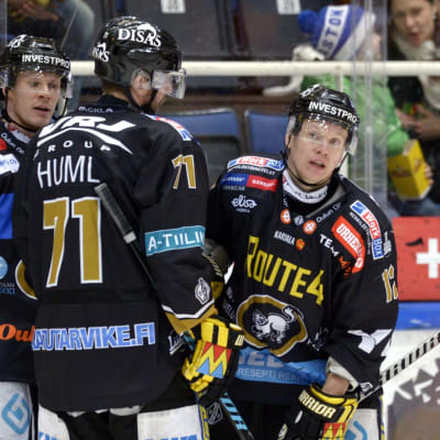 Kärpät