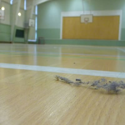 Dammtuss på ett stort gymnastiksalsgolv.
