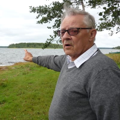 Håkan Södergård står vid stranden och pekar ut mot Storgrynnan i Pjelax som har förstörts av skarvar.