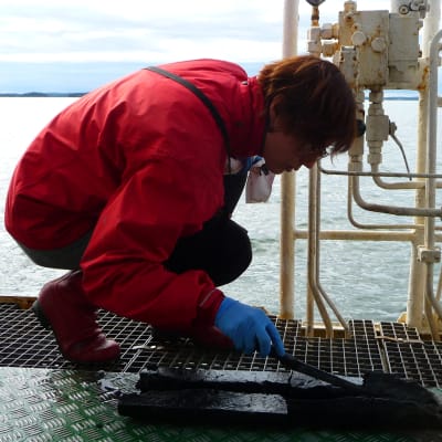 Irma Puttonen, doktorand vid ÅA, undersöker sediment utanför Åbo i augusti 2012