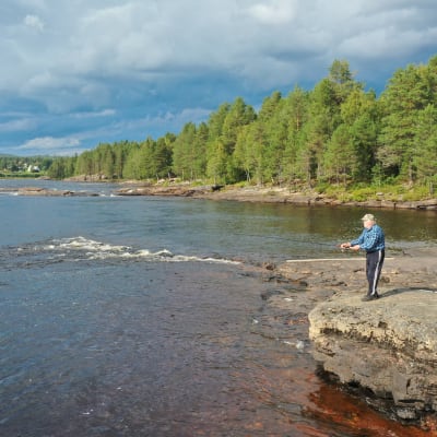 Mies kalastaa virvelillä Tornionjoella Kattilakosken rannalla.
