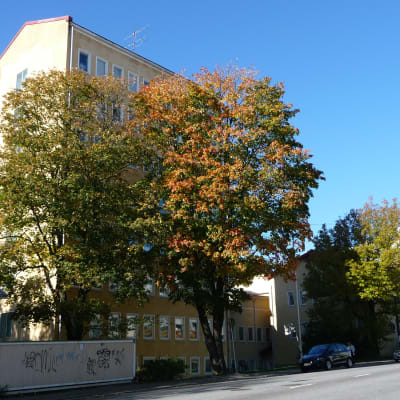 Åbolands sjukhus i höstskrud