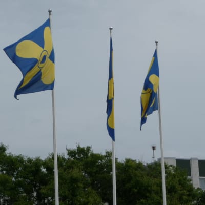 Flaggor med Kimitoöns vapen.