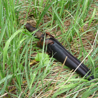 Kniv i gräset