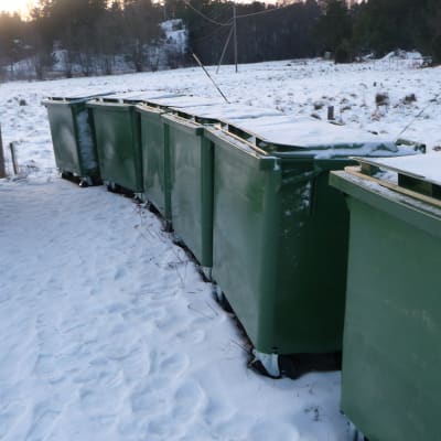 En lång rad med sopkärl väntar i snön på att bli tömda.