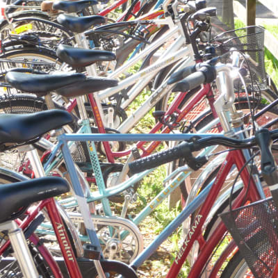 En lång rad med cyklar