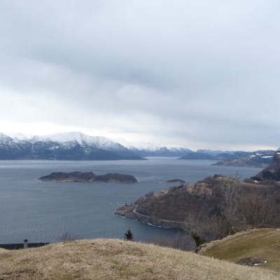 Hardangerfjorden