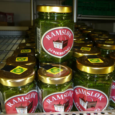 Smaka också på Ramslök om du är i knutarna