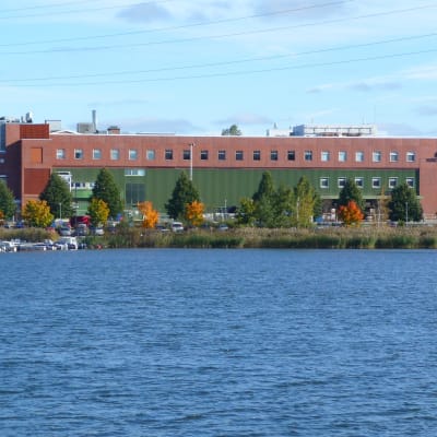 Wärtsilä i vasa