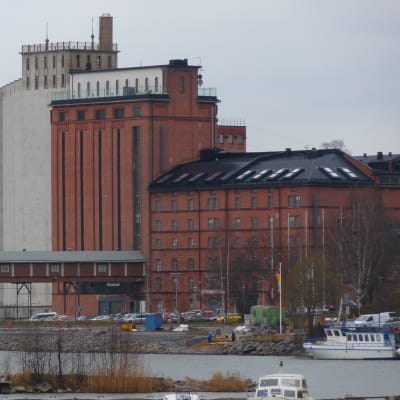 Åbo Akademi i Vasa