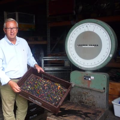 Ben Strömsten från Botnia Berrys