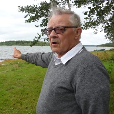 Håkan Södergård står vid stranden och pekar ut mot Storgrynnan i Pjelax som har förstörts av skarvar.