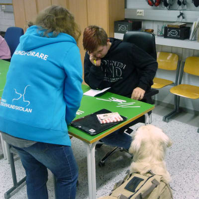 En lärare hjälper en elev. En hund sitter bredvid och tittar på.
