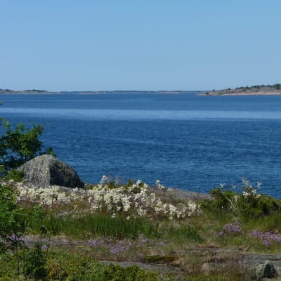 Skärgårdsbild med en segelbåt på havet