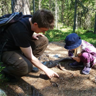 Niclas Fritzén sitter på huk i skogen och pekar på marken, hans dotter sitter mittemot och tittar där han pekar.