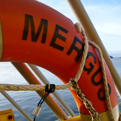 En del av en livboj med texten Mergus på ett fartyg. Bakom livbojen syns hav och skärgård.