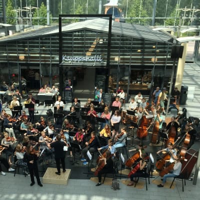 Sinfoniaorkesteri Vivo soittaa solistinaan viulisti Viljami Kemppinen.