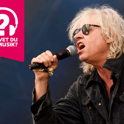 Bob Geldof bär solglasögon och sjunger i en mikrofon som han håller i handen.