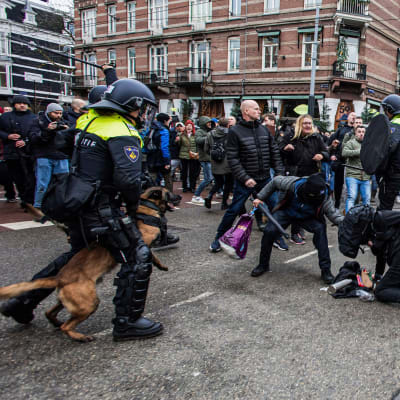 Mielenosoittajat ja poliisi ottivat yhteen Amsterdamissa koronarajoitusten vastaisessa protestissa