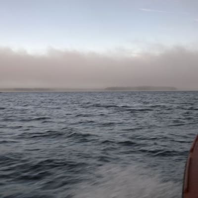 Båt rör sig i skummande vatten mot en dimhöljd horisont.