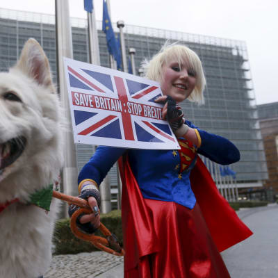 Brexitiä vastustava brittiläinen sarjakuvapiirtäjä Madaleina Kay kampanjoi viime viikolla Brysselissä.