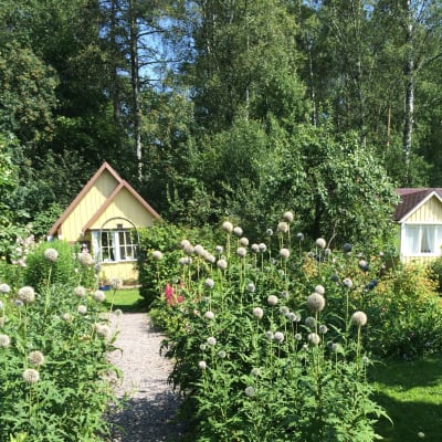 Brunakärrs koloniträdgård