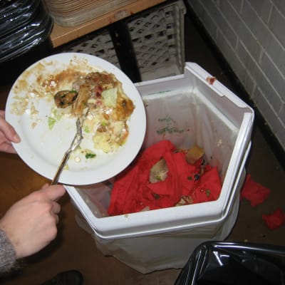 Hur mycket mat kastar du bort om dagen? Bild: YLE/Ingela West
