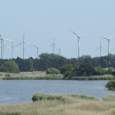 Dansk vindkraftspark, somamren 2014