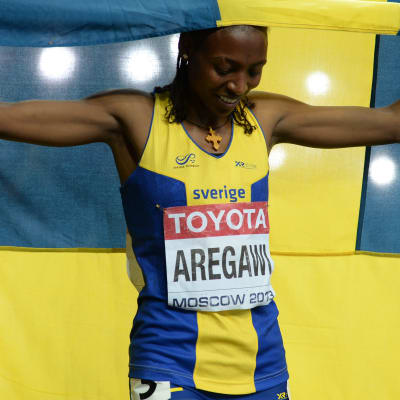 Abeba Aregawi, VM 2013.