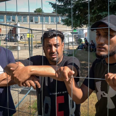 Hassan (vas.), Firas (keskellä) ja Abdi matkaan Irakista luettuaan Facebookista, että Valko-Venäjä avaa rajan Liettuaan.