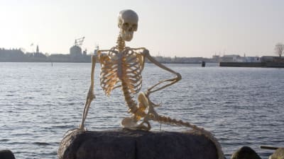 Ett konstruerat skelett av en sjöjungfru var ett uppmärksammat aprilskämt i Köpenhamn 2010.