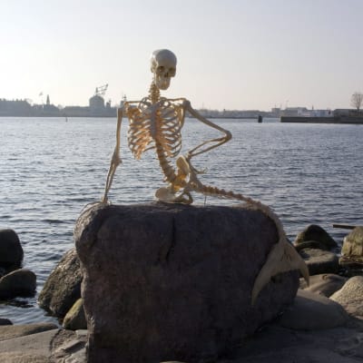Ett konstruerat skelett av en sjöjungfru var ett uppmärksammat aprilskämt i Köpenhamn 2010.