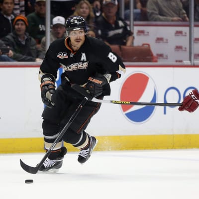 Teemu Selänne, hösten 2013