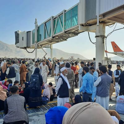 Ihmisiä pakkautuneena Kabulin lentokentälle. 