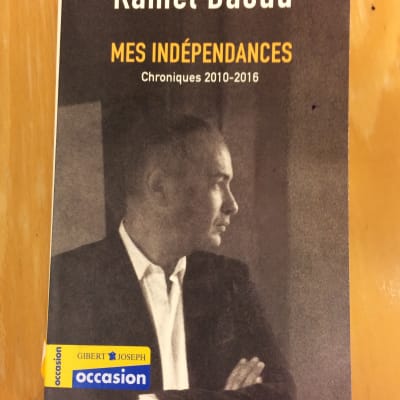 Mies kirjankannessa katsoo sivulle
