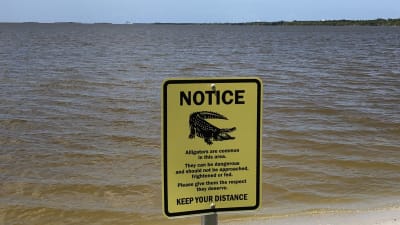 Varningsskylt för alligatorer vid åskådarläktaren på Cape Canaveral