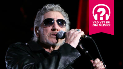 Roger Waters i mörka solglasögon vid mikrofonen under en föreställning av The Wall.