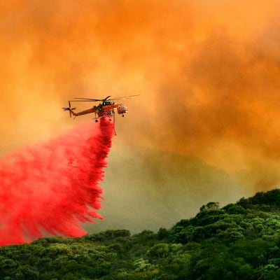 Markbränder släcks med helikopter i Santa Barbara i Kalifornien.