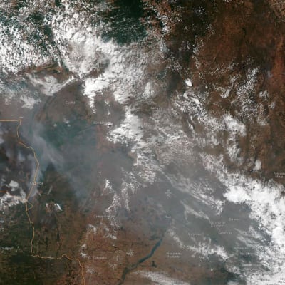 Nasas satellitbild av skogsbränderna i Amazonas. 
