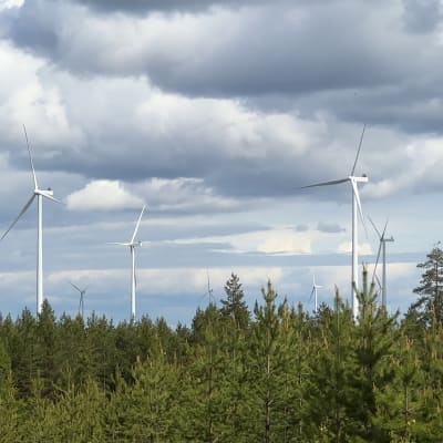 Piiparinmäen tuulivoimalapuiston myllyjä Pyhännällä.