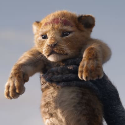 Bild från datoranimerade versionen av Lejonkungen. På bilden syns den nyfödda lejonungen Simba.