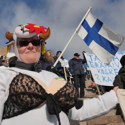 Lantbrukare demonstrerar på Senatstorget i Helsingfors.