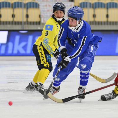 Tomi Hauska, bandy-VM 2013