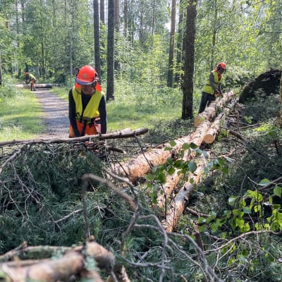 Metsurit raivaavat kevyen liikenteen väylille kaatuneita puita.