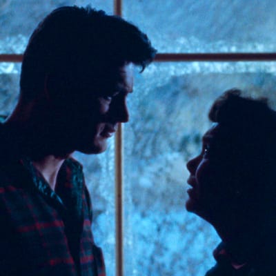 Mies ja nainen (näyttelijät Rock Hudson ja Jane Wyman) katsovat toisiinsa läheltä sivuprofiilissa, melkein siluetteina vasten kuuraista ikkunaa, jonka takana sinertää luminen maisema, kuva elokuvasta Kaikki minkä taivas sallii.