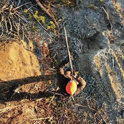 Huomioväriseen pipoon pukeutunut metsästäjä tähtää haulikolla. Kuvassa metsästäjä ylhäältä nähtynä.