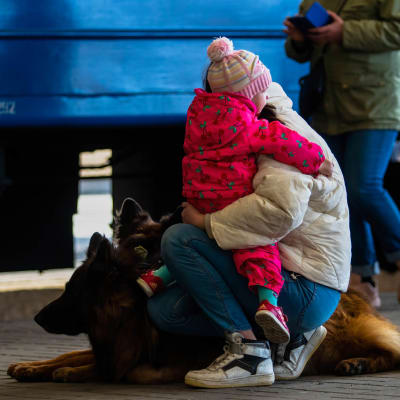 En kvinna med ett litet barn i famnen hukar sig för att klappa sina hundar efter att ha anlänt till tågstationen i Lviv från Mariupol.
