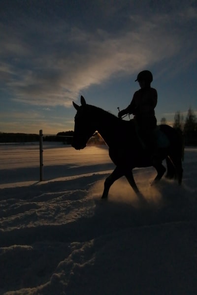 Mörk profil på en person på häst, som rider i ett snölandskap med solen i horisonten.